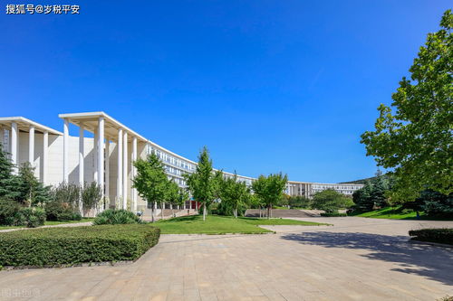 重慶軟件開(kāi)發(fā)公司節(jié)稅的正確打開(kāi)方式